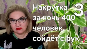 Накрутка за ночь 400 человек сойдёт с рук❓️