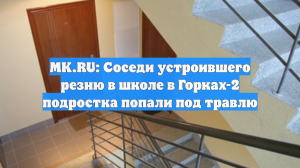 MK.RU: Соседи устроившего резню в школе в Горках-2 подростка попали под травлю