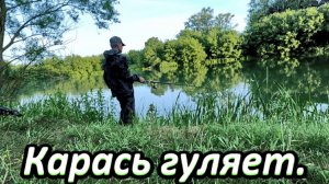 Рыбалка. Кипит вода от карася.