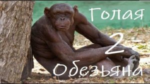 Голая Обезьяна II : Подробности Эволюции