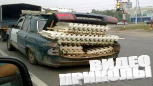 ВИДЕОПРИКОЛЫ \ КРУТЫЕ ПРИКОЛЫ 2025 \ НОВЫЕ ПРИКОЛЫ \ СМЕШНЫЕ ПРИКОЛЫ 2025 ЮМОР