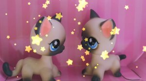 LPS G7: Opening 1 сезон Твои Руки Дрожат...