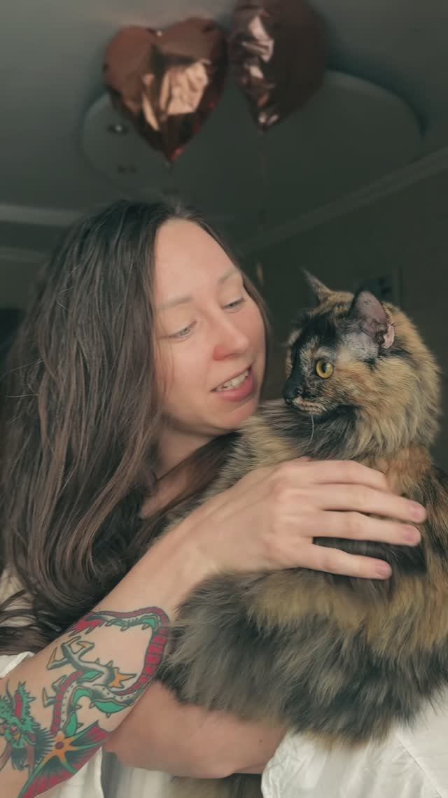 пою колыбельную своей любимой кошке смотреть онлайн