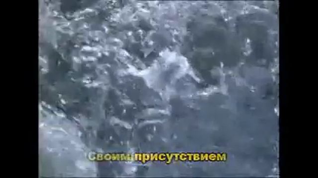 Тебе поют Святый смотреть онлайн