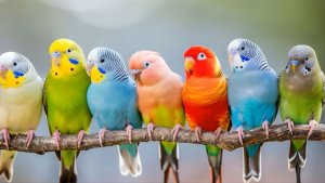 На злобу дня и не только.