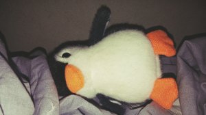 Влог с Васей 🐧🐧🐧 | Учим его ползать.