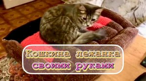 Кошкина лежанка - мой эксперимент / 07.12.2025