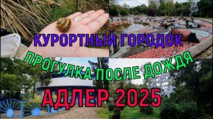Адлер 2025.Прогулка после грозы по Курортному городку.