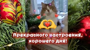 ДОБРОЕ УТРО! Что такое - ДОБРОЕ УТРО?