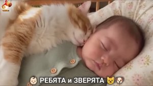 Ребята и зверята от ИИ милое видео для души и радости 👶🏻😺🐶 (8)