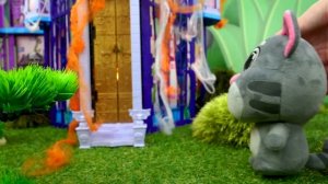 ️Говорящий Кот Том и друзья нашли сокровище! Что было в сундуке?