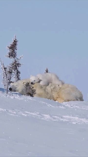 С добрым утром