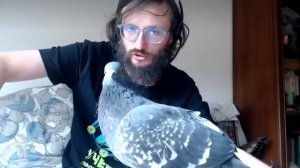 Дробышевский. Эльфы Средиземья Эволюция фантастических тварей