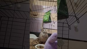 Нюша снимает видео