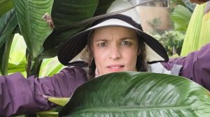 Трейлер ПОМОГИТЕ  Выживший