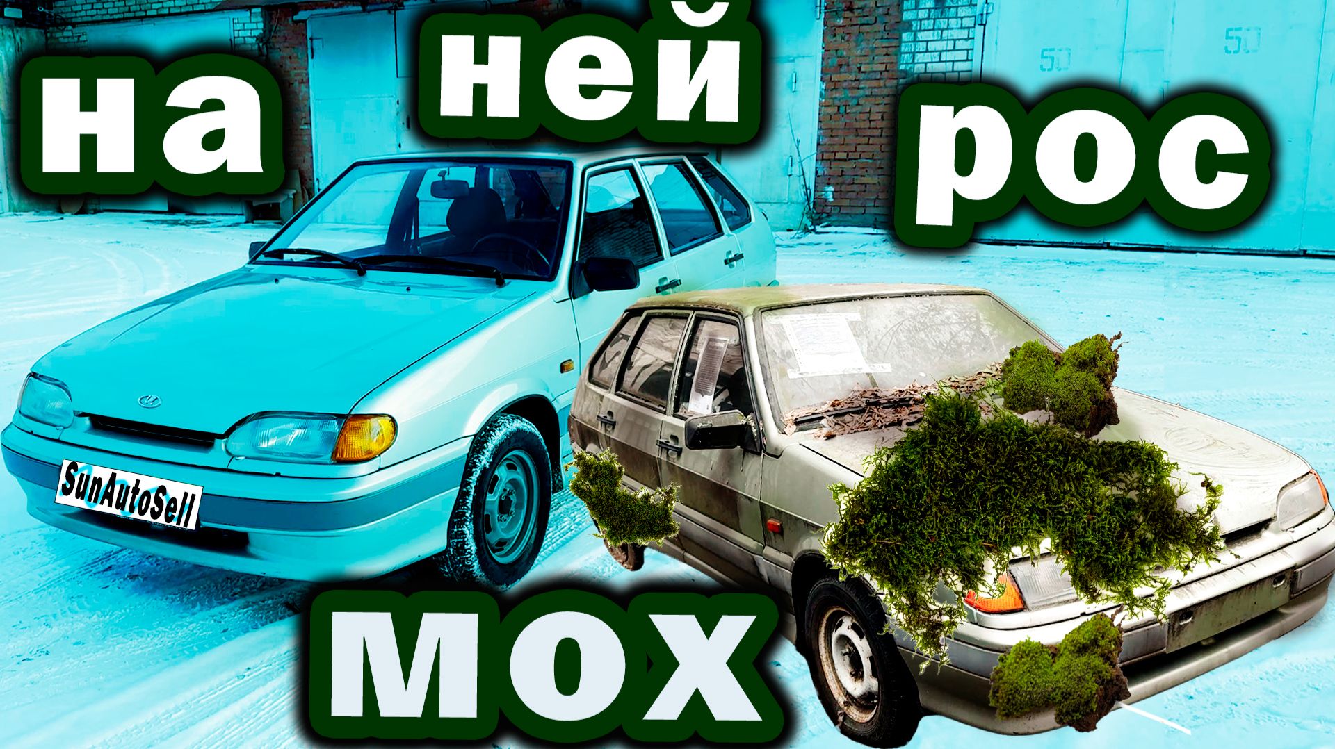 На ней рос мох