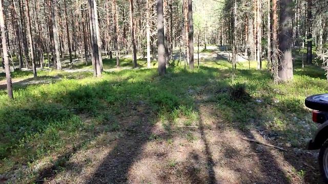 2-VID_20240629_070552