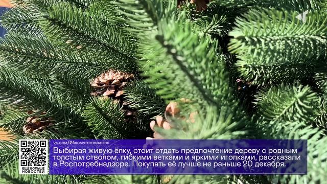 ДАЙДЖЕСТ «СЕВЕРНОГО ГОРОДА»,18.12.2025