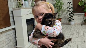 ✨️Хвосты в шоке!✨️Кошачья нянька приехала!✨️