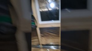 1000042773.mp4 (Собака наблюдает за лайфхаками при строительстве дома А-фрейм)