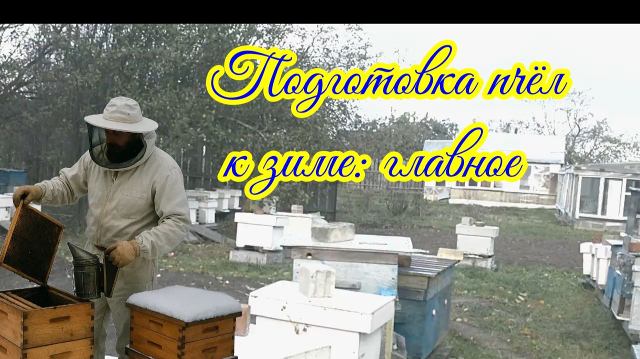 Всё, что нужно знать о подготовке пчёл к холодам.