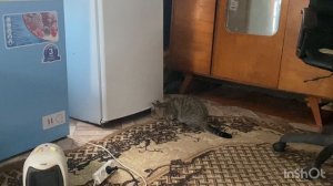 Вяжу необычные перчатки