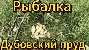 Рыбалка. Дубовский пруд.