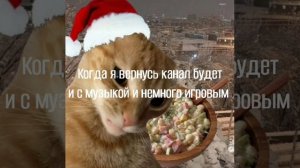 Я ухожу с канала на месяц