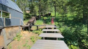 Хроники Мамай. часть 6. красота Сибири. тайга