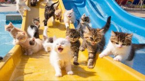 Мультики для детей . Развлекашки для детей . Развлекательный канал