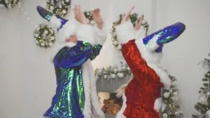 ЭЛЬФЫ На новый год с Дед Морозом и снегурочкой