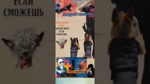 Савелий всепрощающий.