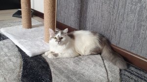 До нового года уже 13 дней 🎄🎅