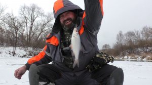 ОТКРЫТИЕ ПЕРВОГО ЛЬДА НА РЕКЕ 25-26. ОТ ЭТОЙ ПРИМАНКИ ПЛОТВА БЕЗ УМА.