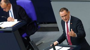 Коалиция Мерца и АдГ поссорились в бундестаге на заседании по активам России