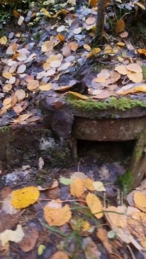 Печка простояла 80 лет в лесу, раскопки по войне с металломскателем #metaldetecting