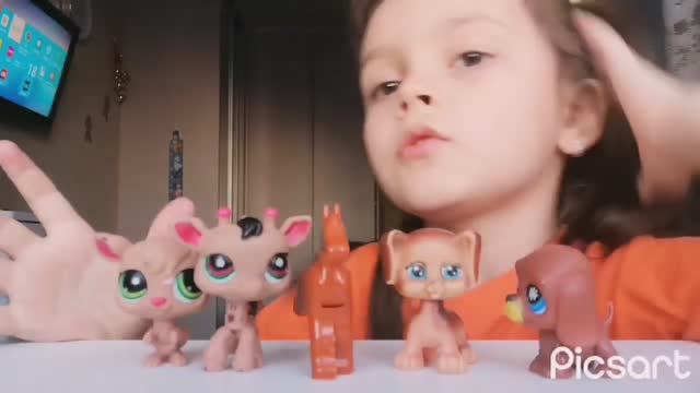 Необычные питомцы. ЛПС смотреть онлайн