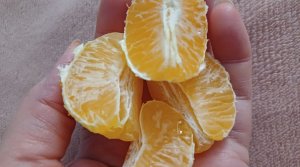 За продуктами...