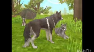 Мини фильм Wildcraft "Дух" 6 серия