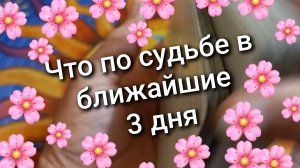 ТАРО РАСКЛАД / ЧТО ВАМ ПО СУДЬБЕ / КАРТЫ ТАРО
