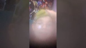 будем объяснять