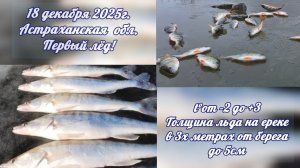 Удачное открытие зимней рыбалки в Астраханской обл.18.12.2025г. Тонковатый, но первый лёд!