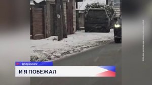 В посёлке Бабушкино под Дзержинском засняли на видео зайца