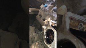 Прошла 60 тысяч и вытянулась. Замена цепи грм на opel corsa.