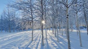 "ФОТОВЗГЛЯД" Миг... Автор проекта О. Дзиов, фото О. Дзиова