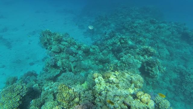 2025-11-22_083446 Рыбки Аротрон