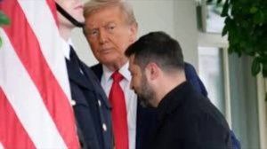 Владимир Путин рассказал о целях европейских подсвинков