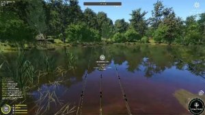 Русская рыбалка 4 | CITIZEN