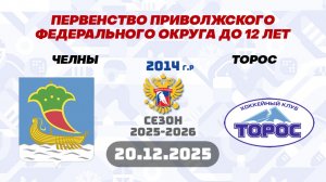 ЧЕЛНЫ vs ТОРОС 2014 20.12.2025.  LIVE 13:15 ПФО ДО 12 ЛЕТ.