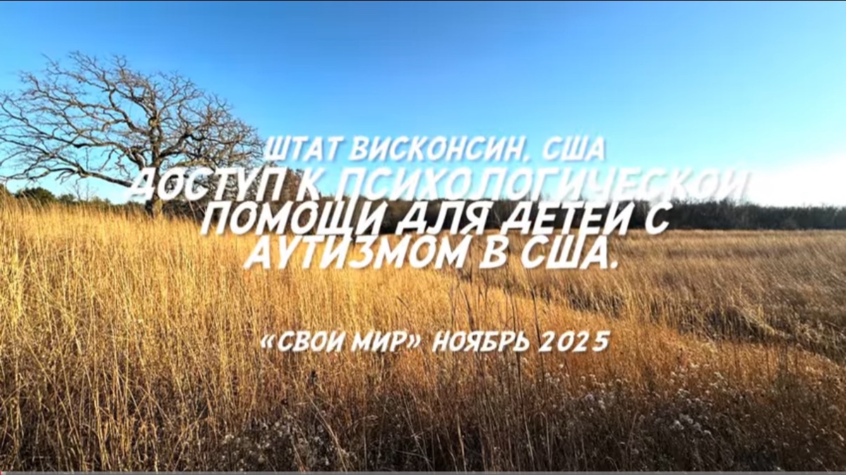 Психологическая помощь детям-аутистам в США.
